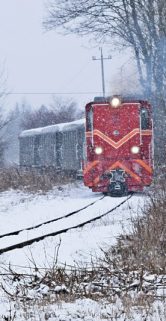 Czerwony wagon kolejki wąskotorowej sunie po torach wśród zasypanej śniegiem scenerii, z delikatnym opadem śniegu w tle. Torowisko przebiega przez zimowy pejzaż, otoczony drzewami i krzewami pokrytymi białym puchem. Mała lokomotywa ciągnie za sobą kilka wagonów, tworząc malowniczy obraz w zimowej aurze.