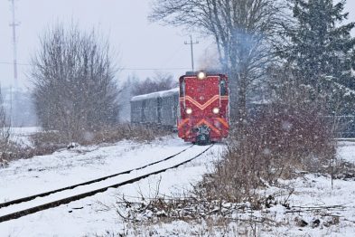 Czerwony wagon kolejki wąskotorowej sunie po torach wśród zasypanej śniegiem scenerii, z delikatnym opadem śniegu w tle. Torowisko przebiega przez zimowy pejzaż, otoczony drzewami i krzewami pokrytymi białym puchem. Mała lokomotywa ciągnie za sobą kilka wagonów, tworząc malowniczy obraz w zimowej aurze.