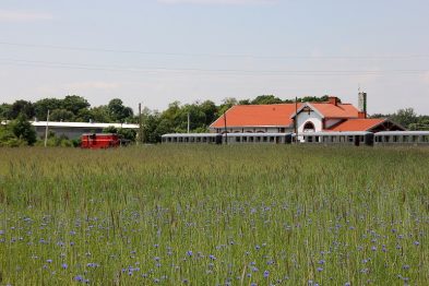 Pomiędzy zielonym polem a białym budynkiem z czerwonym dachem widać czerwony wagon kolejowy i fragment peronu. Na pierwszym planie rozciąga się łąka z niebieskimi kwiatami. W tle widać niebieskie niebo z nielicznymi obłokami.