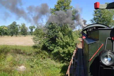 Lokomotywa parowa oznaczona numerem Px29-1704 jedzie wzdłuż zielonego krajobrazu, z komina wydobywa się czarny dym. Po lewej stronie widoczna jest część czerwono-zielonego wagonu z fragmentem balustrady. Lokomotywa i wagony poruszają się po torach kolejowych.