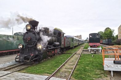 Parowóz Px29-1704 prowadzi skład wagonów na torach wąskotorowych; dym wydobywa się z komina lokomotywy. Po prawej stronie widać kolejny pojazd kolejowy oczekujący na bocznym torze. Teren stacji jest utrzymany w dobrym stanie, z torowiskiem i infrastrukturą przygotowaną do obsługi pociągów retro.