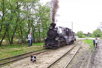 Stary czarny parowóz Px29-1704 emituje kłęby dymu, podczas gdy stoi na torach otoczonych zielenią drzew. Kilka osób obserwuje maszynę, jedna osoba chodzi przy torowisku, a inna stoi z aparatem fotograficznym. Maszyna prezentuje się w pełnej okazałości, przyciągając uwagę miłośników kolei.