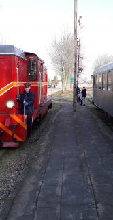 Czerwona lokomotywa stojąca na wąskotorowych torach jest przygotowana do odjazdu, a obok niej znajdują się zielone wagony pasażerskie. Przed lokomotywą widać turystów, w tym jedna osoba w niebieskim kostiumie przypominającym stroje z karnawału. Wokół panuje jasny, słoneczny dzień, a obecność ludzi wskazuje na wydarzenie lub spotkanie.