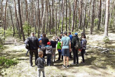 Grupa osób stoi na leśnej ścieżce, otoczona przez drzewa sosnowe. Wśród uczestników wydarzenia, w różnym wieku, widać zarówno dzieci, jak i dorosłych. Niektórzy uczestnicy są odwróceni tyłem, a inni kierują wzrok na przewodnika, który wydaje się coś wyjaśniać.