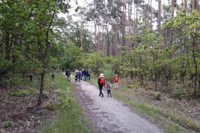 Grupa ludzi spaceruje leśną ścieżką wśród zielonych drzew. Osoby różnych wieków, w tym dzieci i dorośli, są ubrane w casualowe stroje odpowiednie do outdoorowej aktywności. Na ziemi widać ślady użytkowania ścieżki, a otaczająca ich przyroda jest widocznie zadbana.