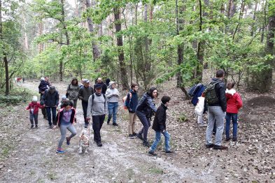 Grupa osób spaceruje leśną ścieżką, otoczeni drzewami o zielonych liściach. Osoby są w różnym wieku, od dzieci do dorosłych, większość ma na sobie wiosenne ubrania. Niektórzy uczestnicy wydają się prowadzić rozmowy podczas spaceru.