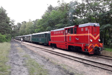 Czerwono-żółta lokomotywa wąskotorowa ciągnie zielone wagony pasażerskie na torach otoczonych zielenią drzew. Skład pociągu znajduje się na polanie w leśnym krajobrazie podczas pochmurnego dnia. Torowisko jest wyraźne i prowadzi równolegle do ścieżki biegnącej obok lasu.