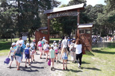Grupa dzieci prowadzona przez dorosłych wchodzi przez drewnianą bramę z napisem 
