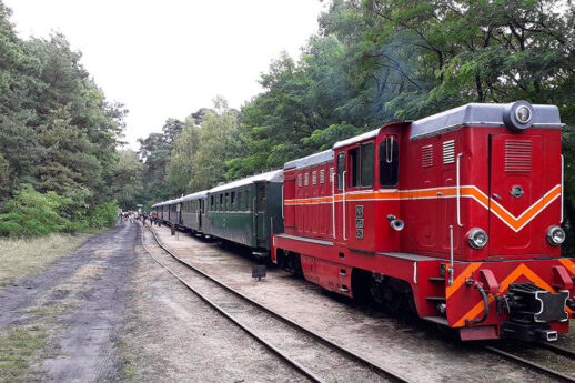 Czerwono-biały lokomotywa wąskotorowa stoi na torach otoczona drzewami, a za nią ciągnie się szereg zielonych wagonów pasażerskich. Zestawienie kolorów lokomotywy z zielenią otoczenia tworzy malowniczy kontrast. Sceneria wskazuje na lokalizację w lesie, sprzyjającą spokojnym podróżom turystycznym.