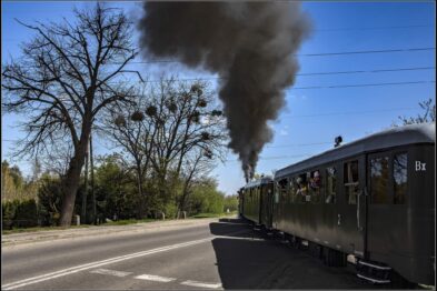 Parowóz z wypuszczającym dym kominem przejeżdża przez przejazd kolejowy obok drzew. Pociąg składa się z lokomotywy i zabytkowych wagonów, których okna wypełnione są pasażerami. Dzień jest słoneczny i bezchmurny.