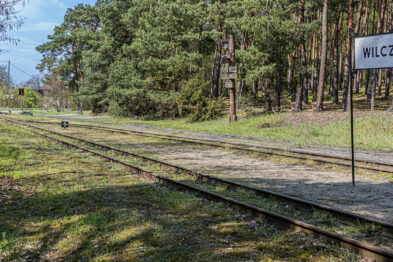 Tor kolejowy w otoczeniu zieleni przecina zdjęcie, prowadząc wzrok w stronę niewielkiego pociągu zbliżającego się z lewej strony. Po prawej stanowiąc punkt orientacyjny, stoi tablica z napisem 