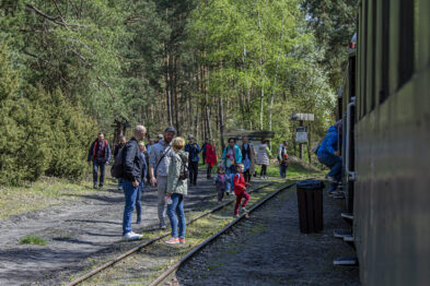 Grupa ludzi spaceruje wzdłuż torów kolejowych, gdzie część z nich rozmawia ze sobą i patrzy w stronę stojącego pociągu. Torowisko znajduje się w otoczeniu drzew, co sugeruje lokalizację w terenie leśnym lub parkowym. Pociąg ma otwarte drzwi, z których wygląda kilku pasażerów, a zabudowania w tle przypominają małą stację lub przystanek.