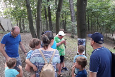 Grupa ludzi z dziećmi gromadzi się wokół przewodnika w lesie; przewodnik wskazuje coś ręką. Wszyscy uczestnicy są zwróceni w stronę przewodnika, a niektórzy zdają się słuchać uwag. Zakładając, że zdjęcie jest związane z wąskotorówką, może przedstawiać pozakolejową atrakcję oferowaną przez muzeum.