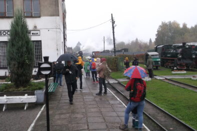 Grupa osób z parasolami odprowadza wzrokiem pociąg muzealny, który oddala się po torach wąskotorowych. Jest pochmurny dzień, a tory biegną wzdłuż niewielkiego budynku. Na drugim planie widoczne są zabytkowe parowozy.