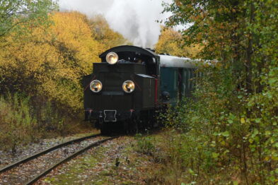 Lokomotywa parowa Px29-1704 prowadzi pociąg muzealny przez leśny krajobraz otoczony jesienią barwiącą drzewa na żółte i brązowe odcienie. Parowóz z wypuszczającym dym kominem przejeżdża po zakrzywionych torach wąskotorowych. Za lokomotywą widoczne są wagony pasażerskie w zielonym kolorze.