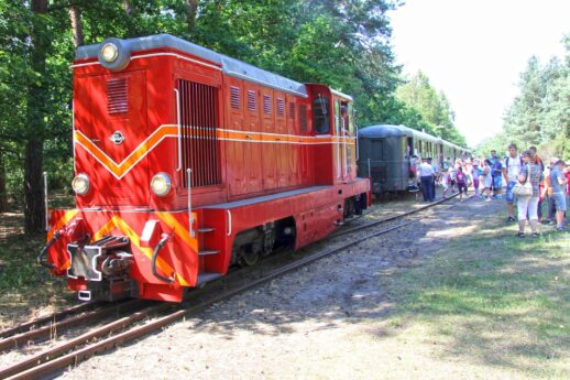 The red diesel locomotive stands on the tracks in the Kampinos Forest.