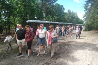 ludzie idą obok lasu, w tle pociąg